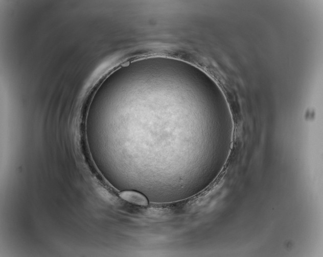 X0000102390101200808011609