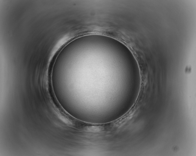 X0000102390102200808011609