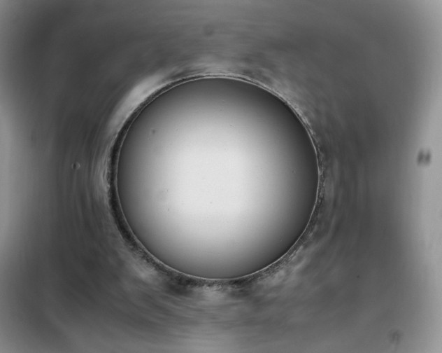 X0000102390103200808011609