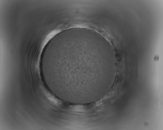 X0000102390104200808011609