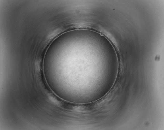 X0000102390105200808011609