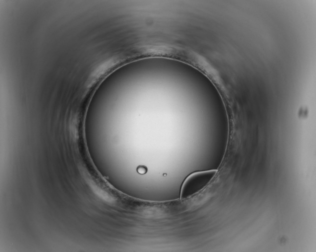 X0000102390106200808011609