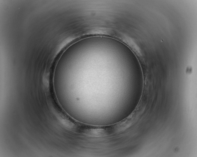 X0000102390108200808011609