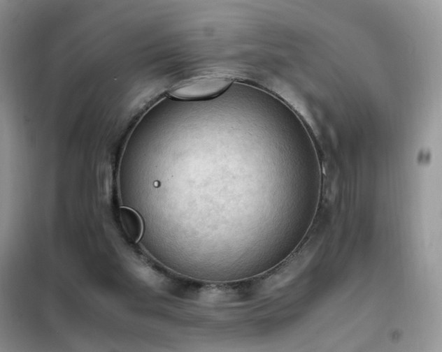 X0000102390109200808011609