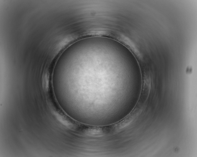 X0000102390110200808011609