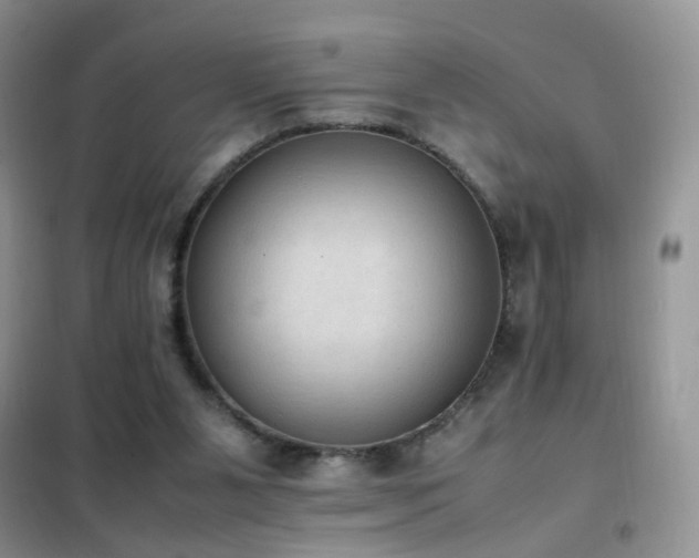 X0000102390111200808011609