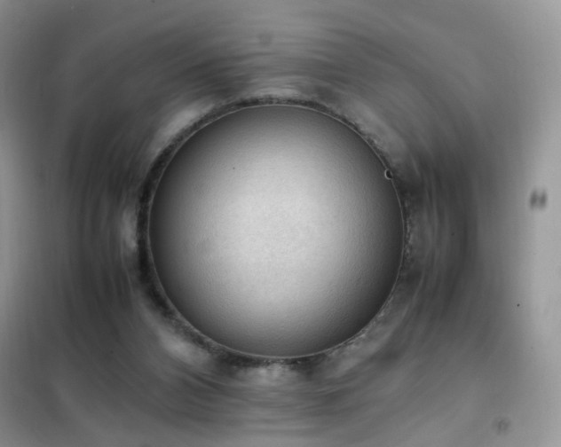 X0000102390112200808011609