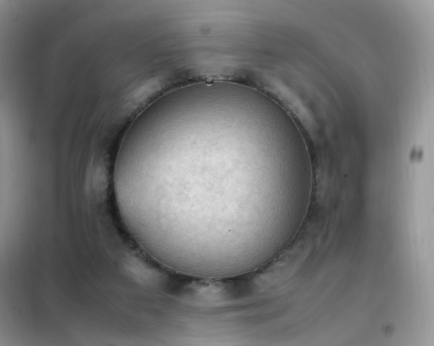 X0000102390113200808011609