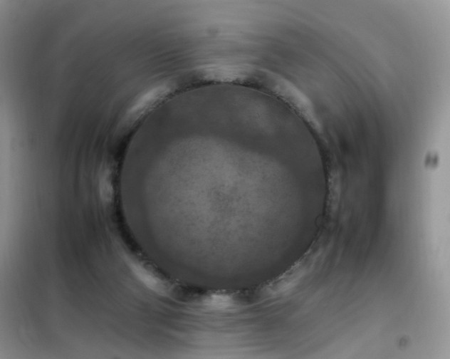 X0000102390114200808011609