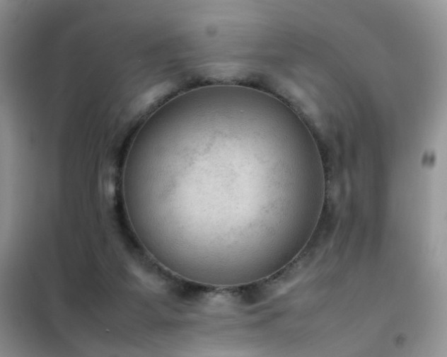 X0000102390115200808011609