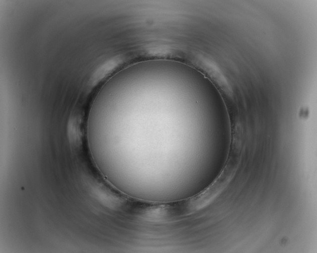 X0000102390116200808011609