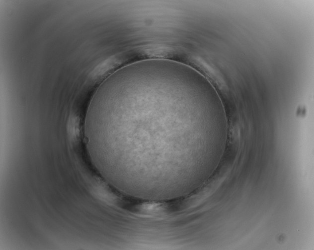 X0000102390117200808011609