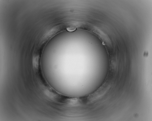 X0000102390118200808011609