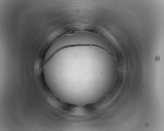 X0000102390119200808011609