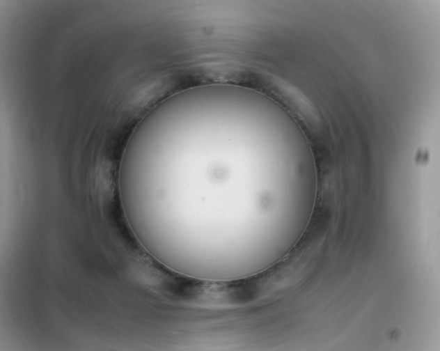 X0000102390121200808011609