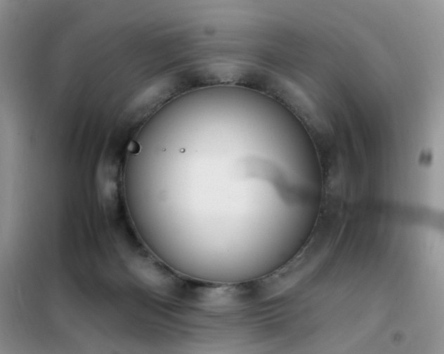 X0000102390122200808011609