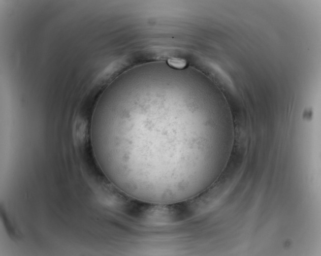 X0000102390123200808011609