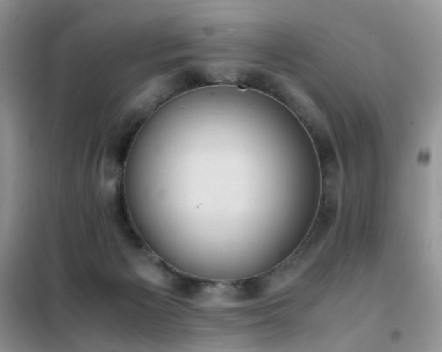 X0000102390125200808011609