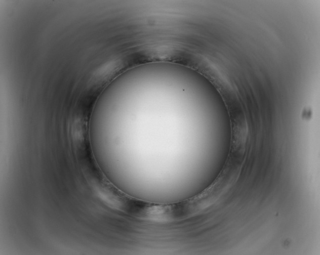 X0000102390126200808011609