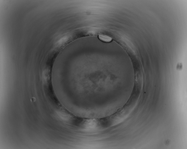 X0000102390127200808011609