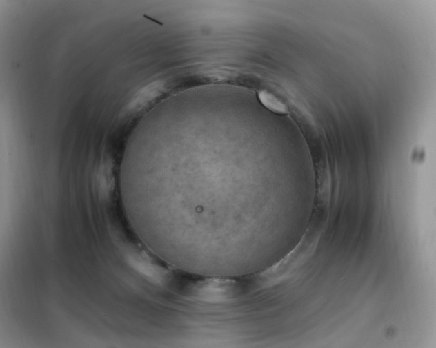 X0000102390128200808011609