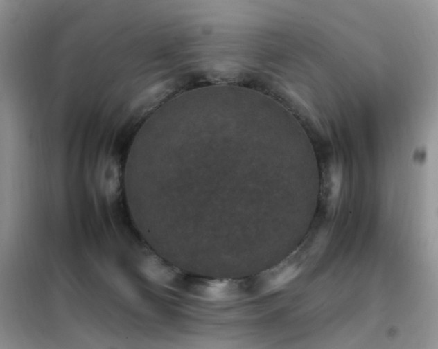 X0000102390130200808011609