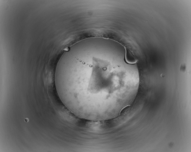 X0000102390131200808011609