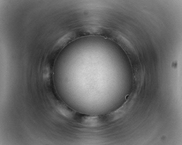 X0000102390132200808011609