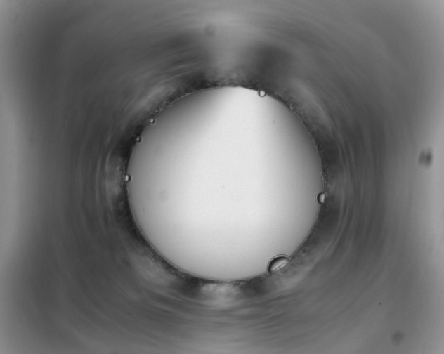 X0000102390133200808011609