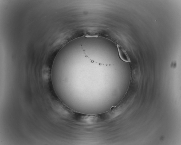 X0000102390135200808011609