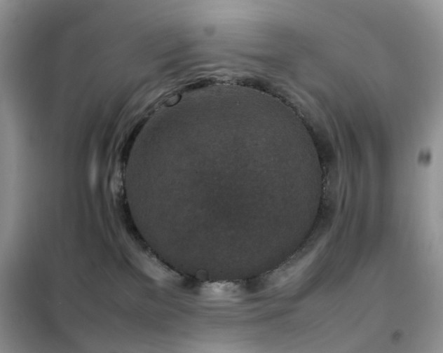 X0000102390137200808011609