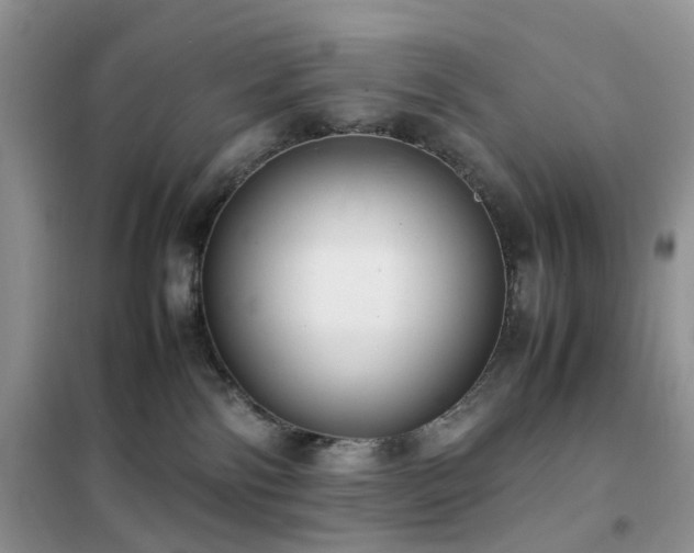 X0000102390138200808011609