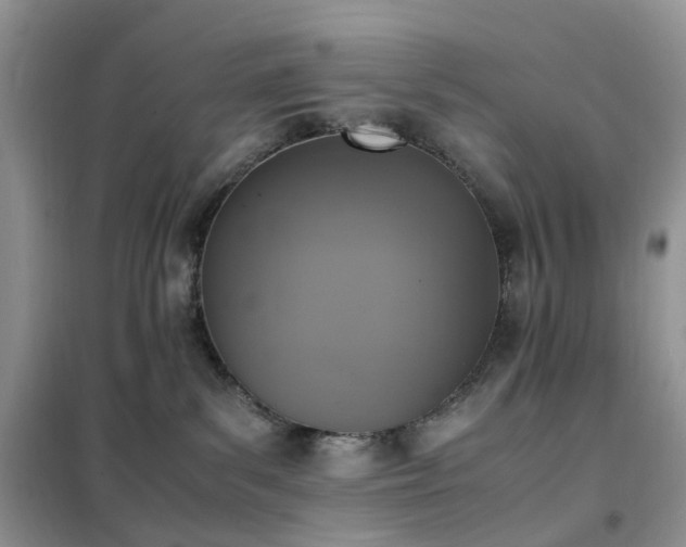 X0000102390139200808011609