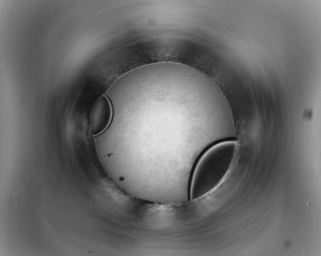 X0000102390140200808011609