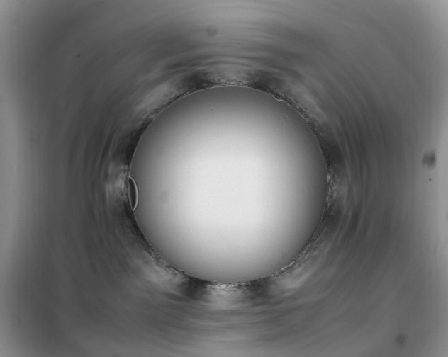 X0000102390141200808011609