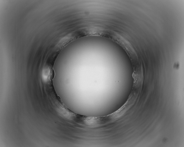 X0000102390142200808011609