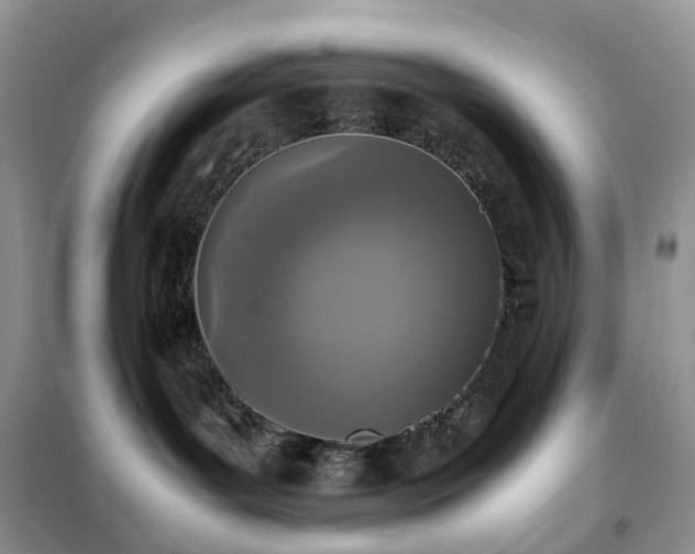 X0000102390143200808011609