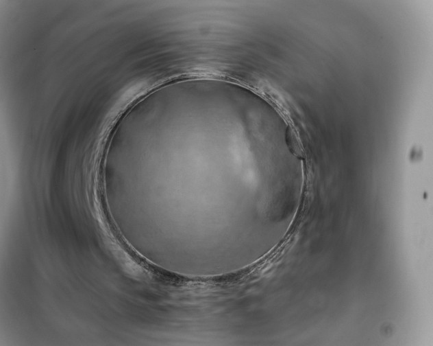 X0000102390145200808011608