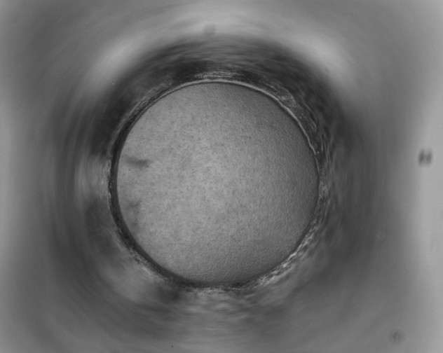 X0000102390146200808011608