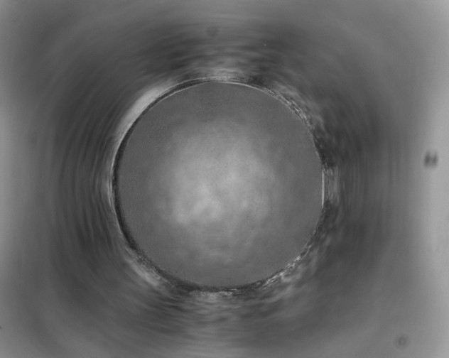 X0000102390147200808011608