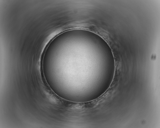 X0000102390148200808011608