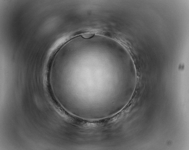 X0000102390149200808011608