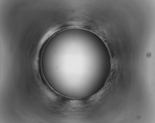 X0000102390150200808011608