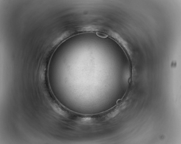 X0000102390153200808011608