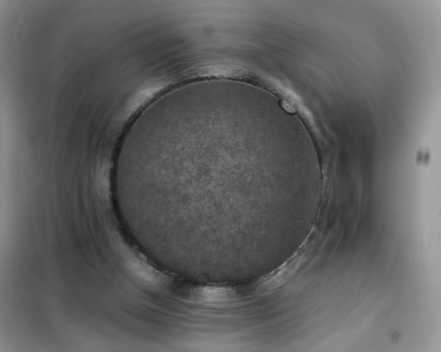 X0000102390154200808011608