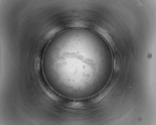 X0000102390157200808011608