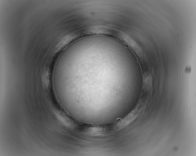 X0000102390158200808011608