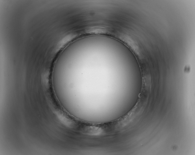 X0000102390159200808011608