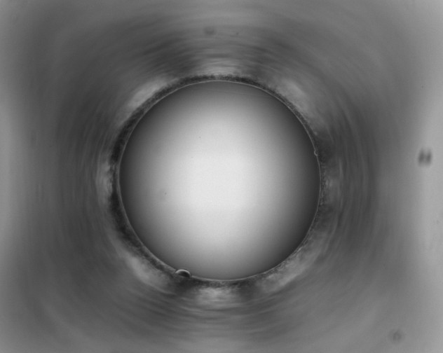 X0000102390160200808011608