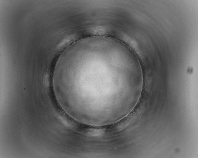 X0000102390161200808011608